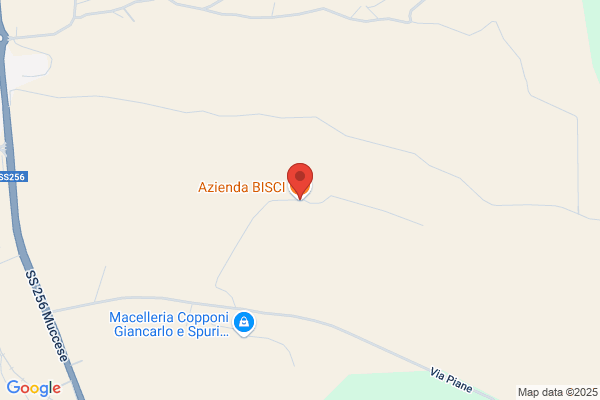Bisci Spa