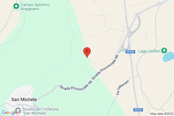Antena Pensione per Cani