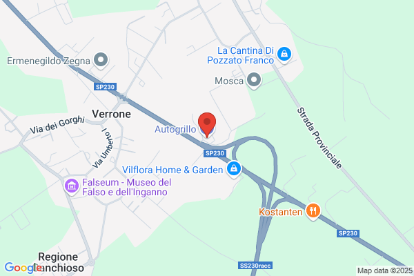Autogrillo
