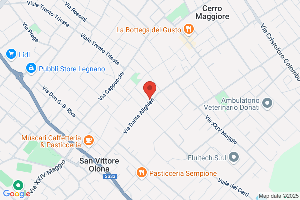 Il Salone Della Corte Di Della Corte laura