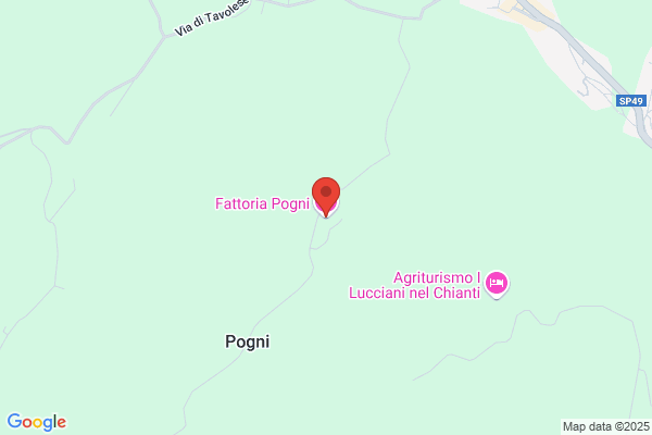 Faucci Marisa