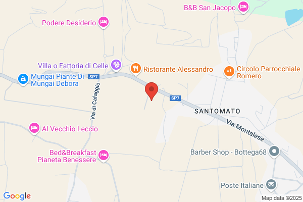 Fattoria La Torricella