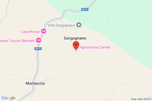 Li Volsi costantino