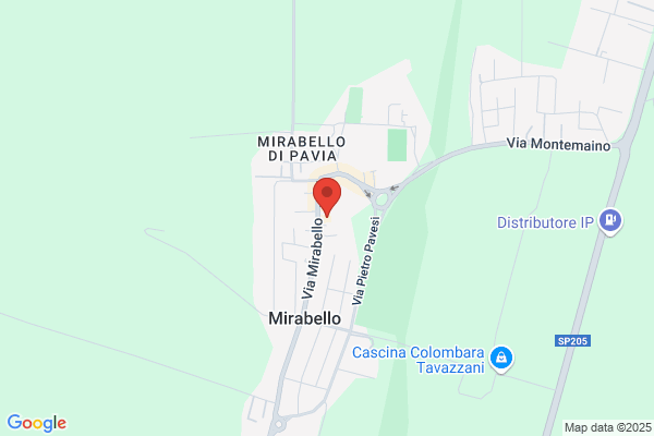 Mariani achille