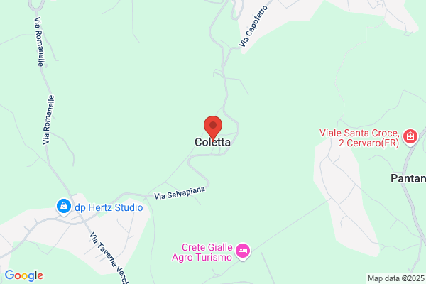 Coletta Adamo