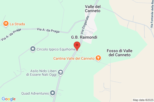 Pariciani massimo