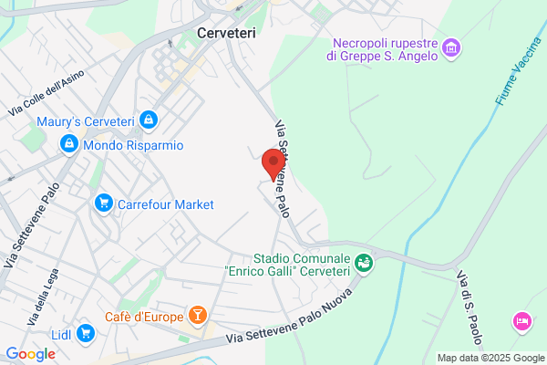 Istituto Delle Gambe Di Roma Srl