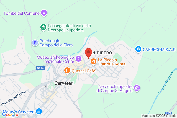 Marsala tiziana (Dr.)