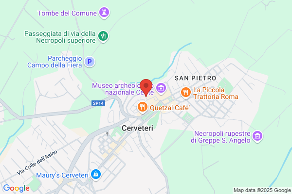 Padroni egizia