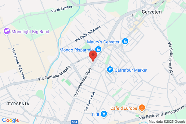 Procaccini germana