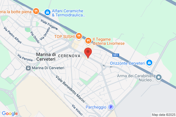 Ruzzenenti maria Elisa
