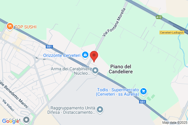 Ristorante La Brace