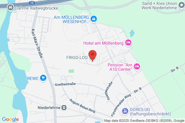 Fri - Log Srl