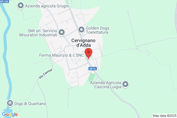 Luerti massimo (Prof.)