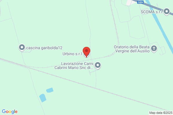 Urbino s.r.l.