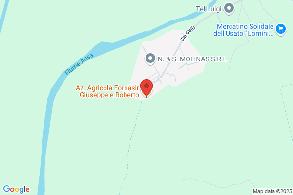 Fornasir Giuseppe E Roberto