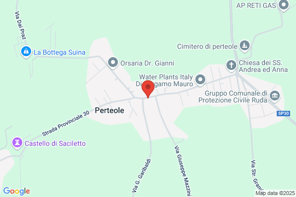 Pinat andrea (Geom.)