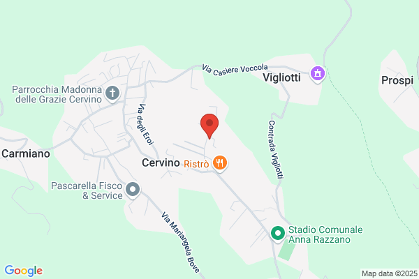 Inforline S.A.S. Di Diodati Gennaro