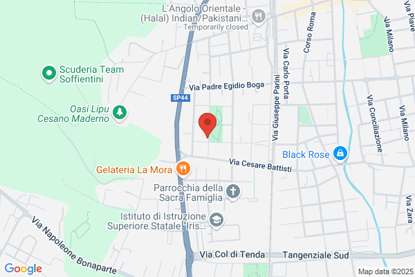 Mgm Service Di Antonio Meucci & C. Snc