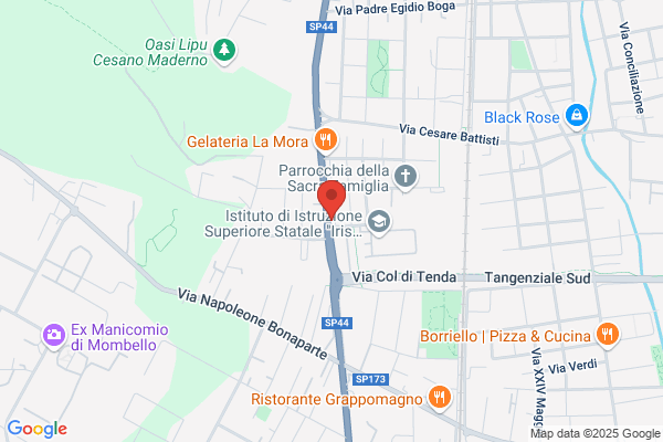 Seveso walter