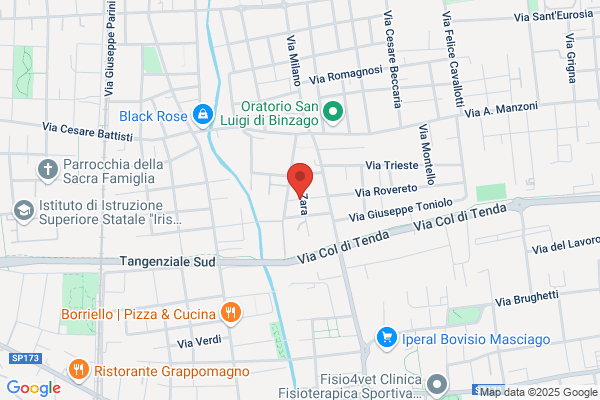 Busnelli ezio