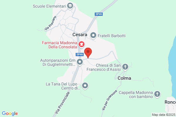 Forni Alan