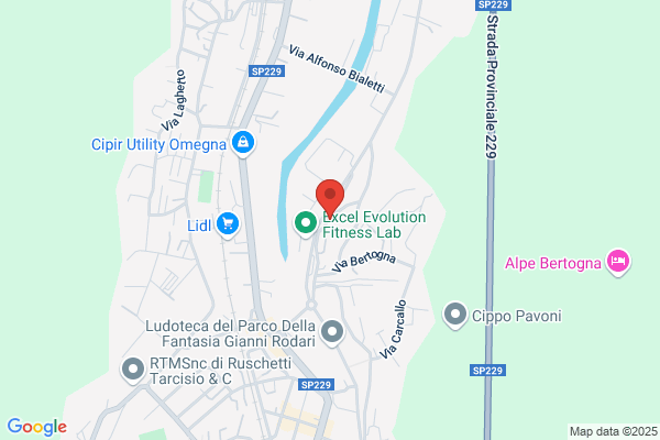 Testone livio