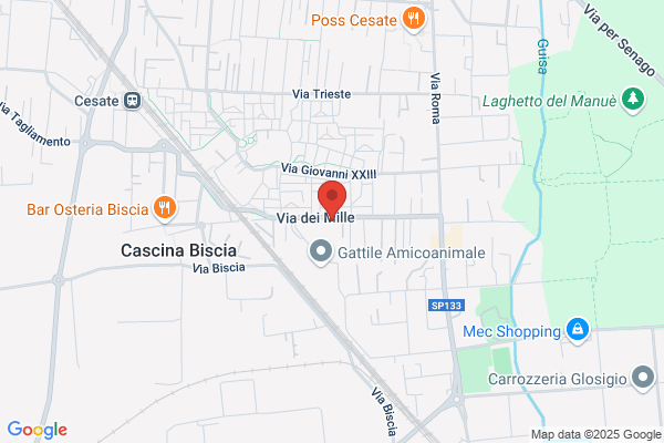 Centro Servizi Sas