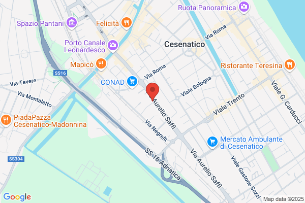 Autorevisioni Poggi