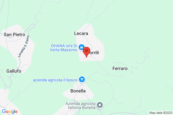 Ohana Semplificata