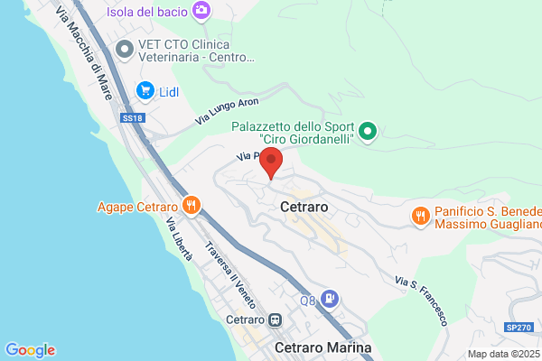 Vigili Urbani