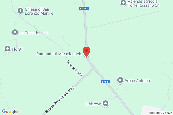 Ramondetti michelangelo