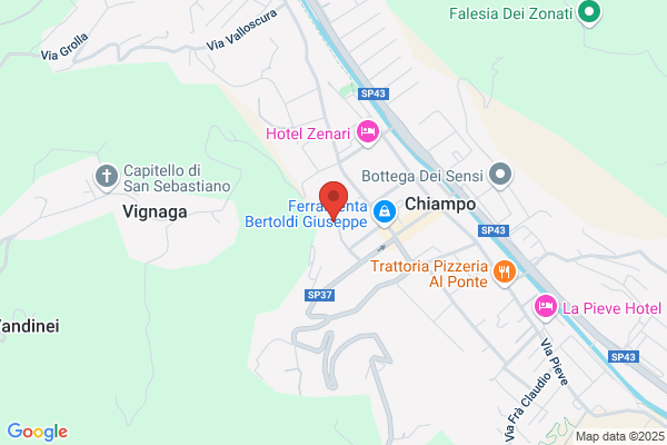 Vicentin rino