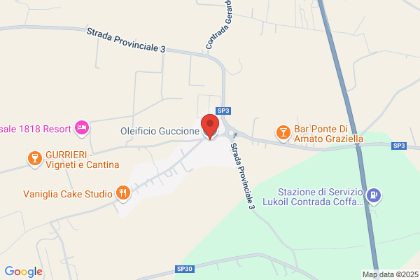 Guccione Teresa