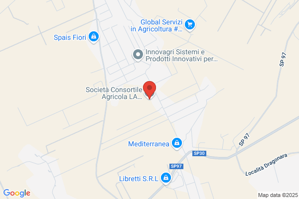 Mediterranea Srl