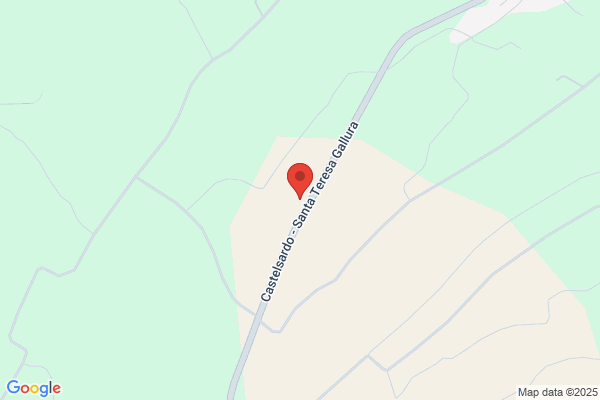 Bss Buscinu Service Station - Stazione di Servizio