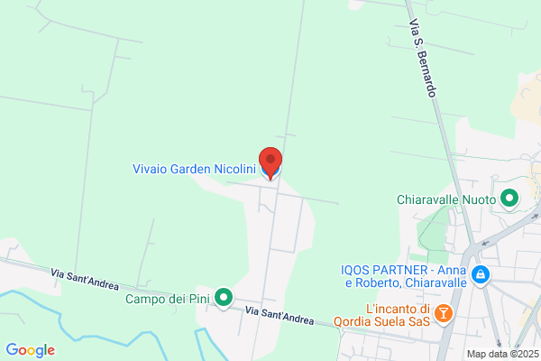 Vivaio Garden Nicolini