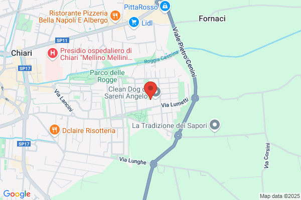 Pizzeria Dasporto