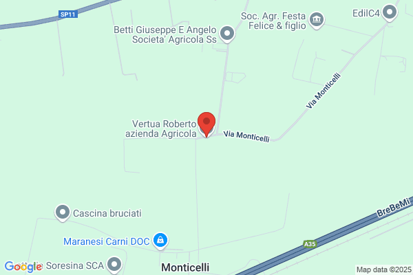 Vertua angela