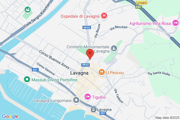 Ars Car Lavagna