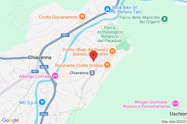 Societa Trasporti Pubblici Sondrio (S.P.A.)