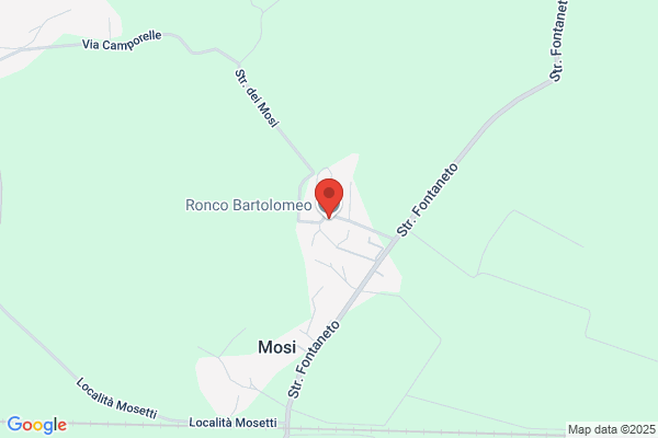Ronco bartolomeo