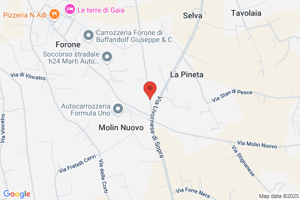 Lombardi gabriella