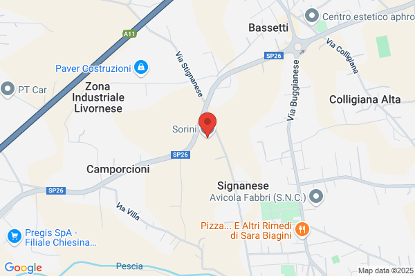 Sorini