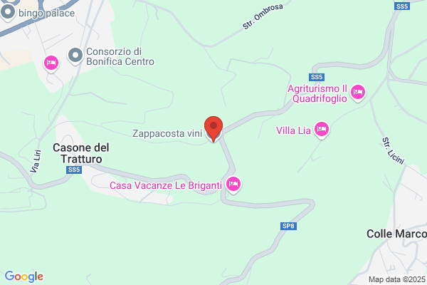 Zappacosta gianfranco