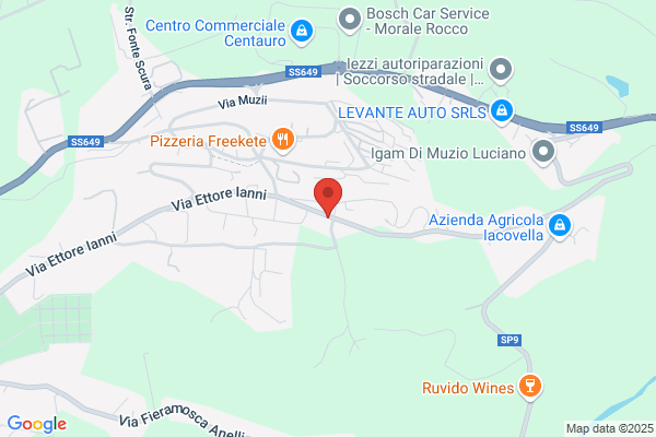 Autocarrozzeria Sprecacenere Carlo