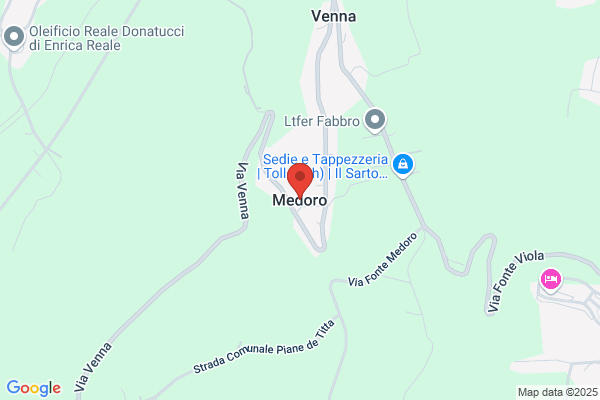 Medoro domenico