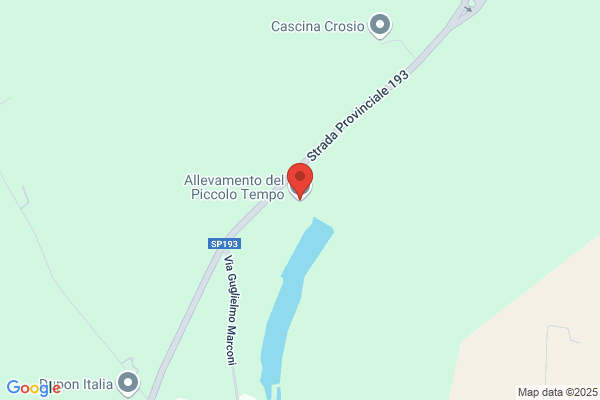 Allevamento del Piccolo Tempo