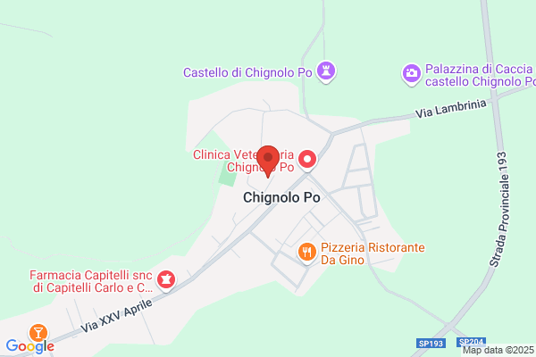 Municipio