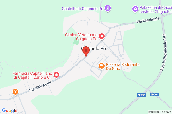 Sanpaolo Imi S.P.A.